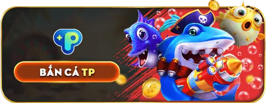 Bước 4: Đăng nhập và bắt đầu chơi